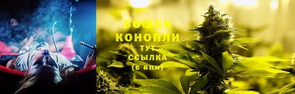 дживик Беломорск