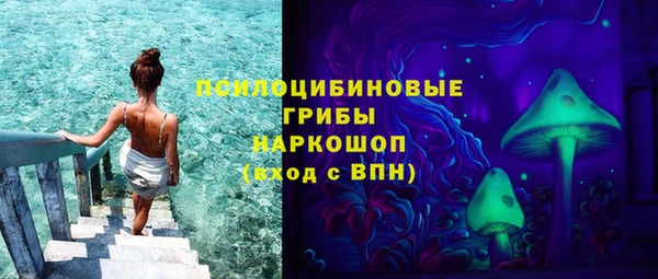 дживик Беломорск