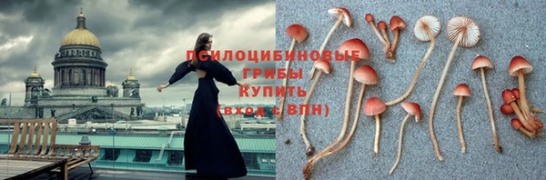 твердый Белокуриха