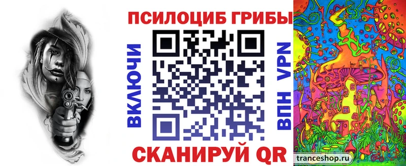 Купить  Дальнереченск  Галлюциногенные грибы Magic Shrooms 