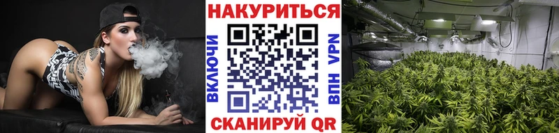 Бошки Шишки план  Купить закладки  Дальнереченск 